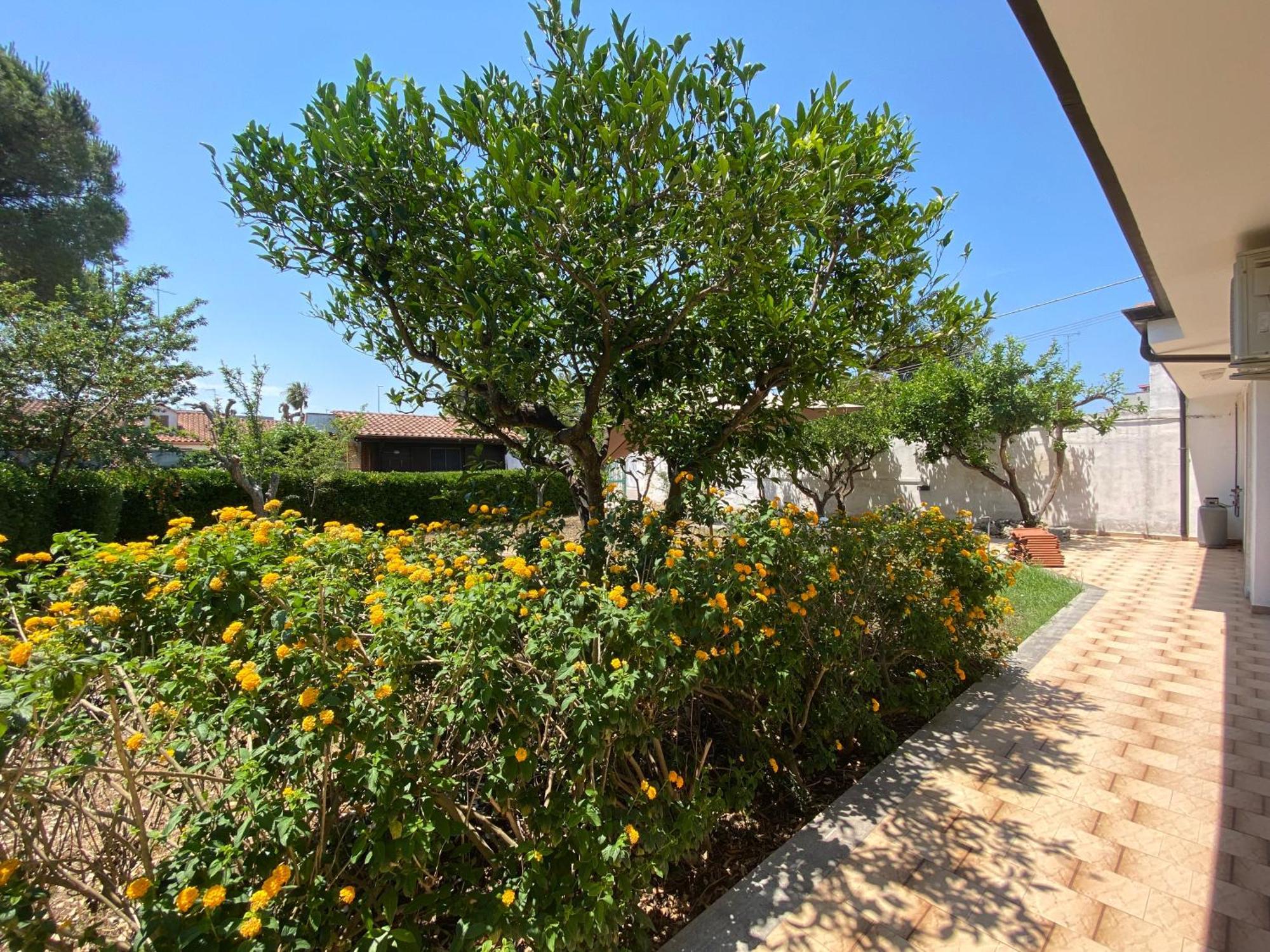A Casa Di Alfredo Depandance In Villa Lecce Exterior foto